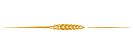 Johnson for Justice