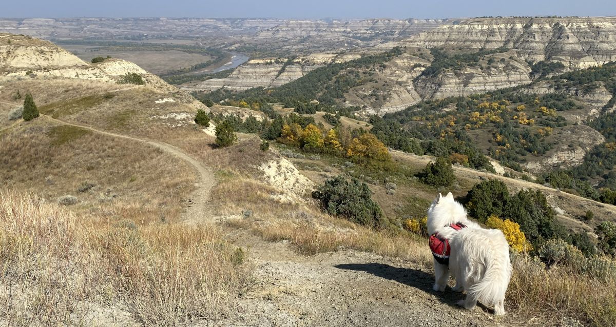 Long X Trail with Yeva