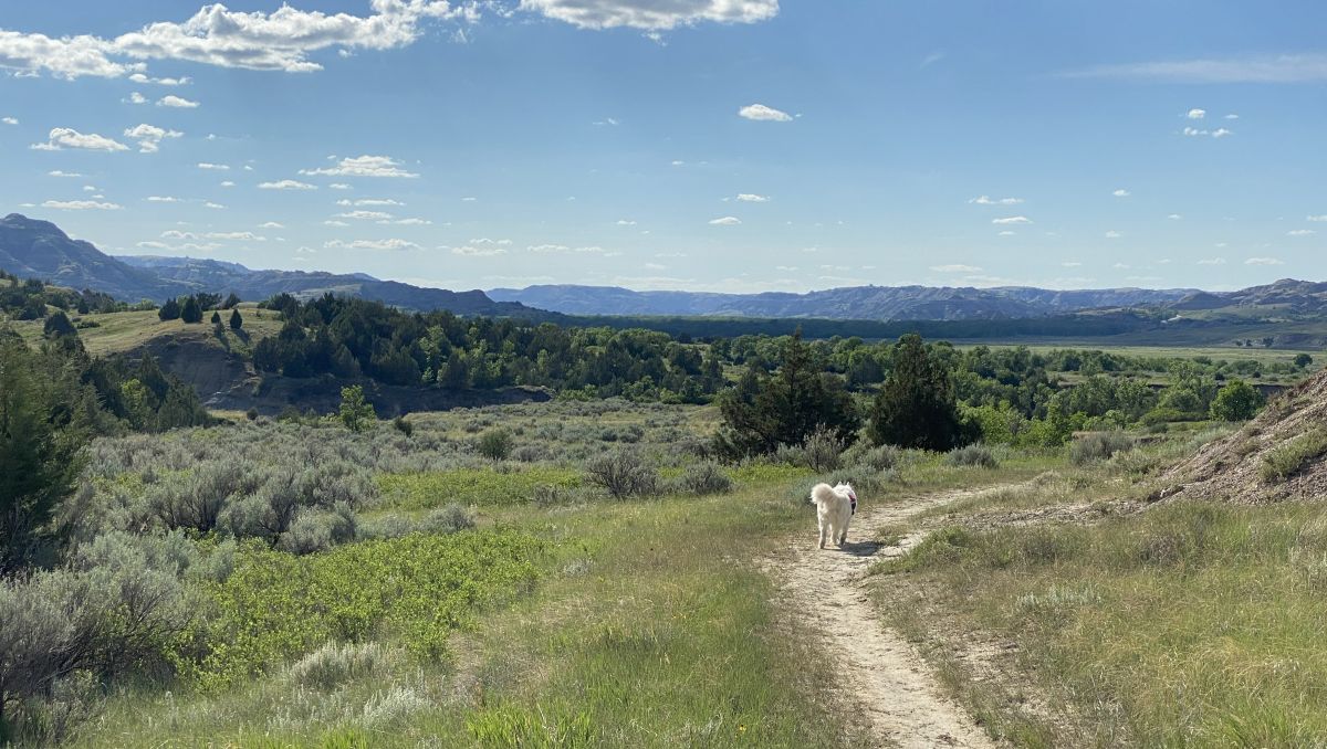 Maah Daah Hey Trail in Summer with Yeva